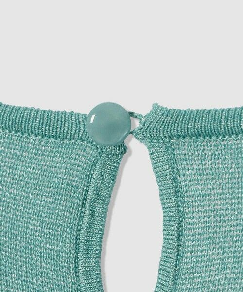 ANAYI / アナイ ニット・セーター | シアー天竺クルーネック プルオーバー | 詳細29