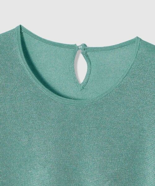 ANAYI / アナイ ニット・セーター | シアー天竺クルーネック プルオーバー | 詳細7