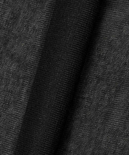 ANAYI / アナイ ニット・セーター | シアー天竺クルーネック プルオーバー | 詳細21