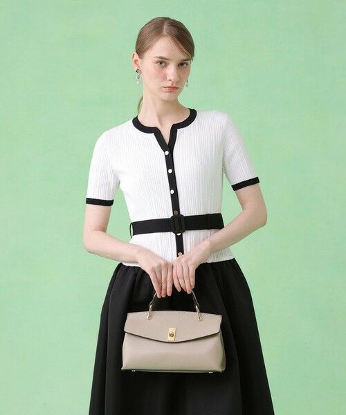 ANAYI / アナイ ハンドバッグ | ◇シュリンク革トップハンドルハンドバッグ（beige (14)）