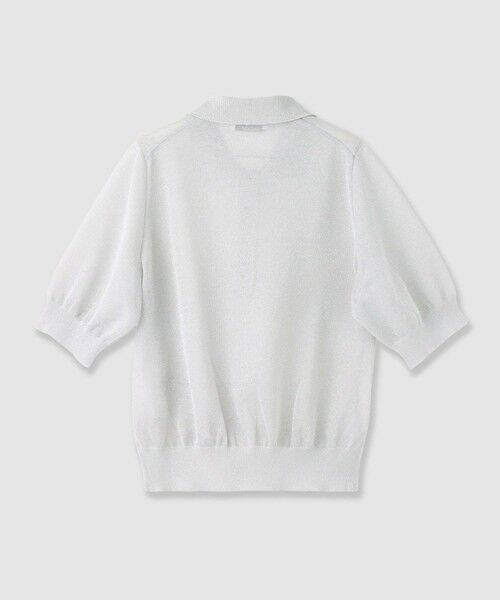 ANAYI / アナイ その他トップス | SLOANE 12G二重臼天竺 ラメシアー半袖ポロプルオーバー | 詳細1