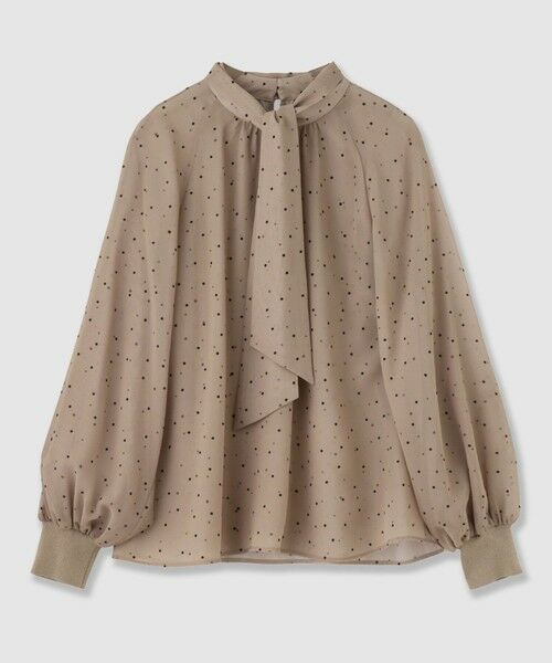 ANAYI / アナイ シャツ・ブラウス | フロッキードットプリント ブラウス（brown (81)）