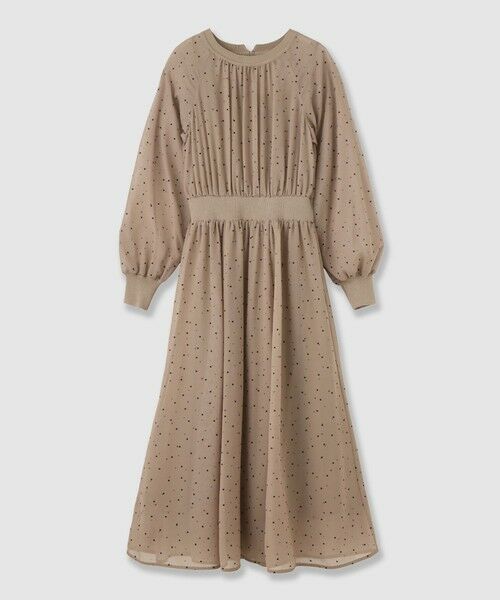 ANAYI / アナイ ロング・マキシ丈ワンピース | フロッキードットプリント ワンピース（brown (81)）