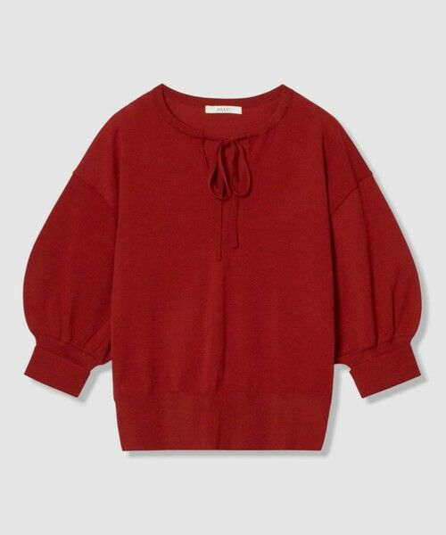 ANAYI / アナイ ニット・セーター | ライトウールキーネック プルオーバー(red (43))