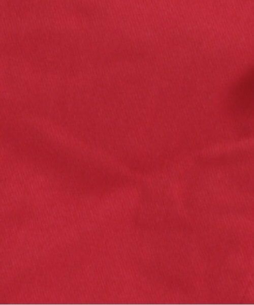 and D.petitmain / アンドディー. プティマイン その他パンツ | アクティブチノテーパードパンツ | 詳細14