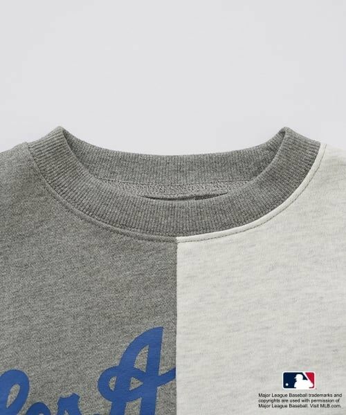 and D.petitmain / アンドディー. プティマイン スウェット | 【MLB】切替ビッグスウェット | 詳細17