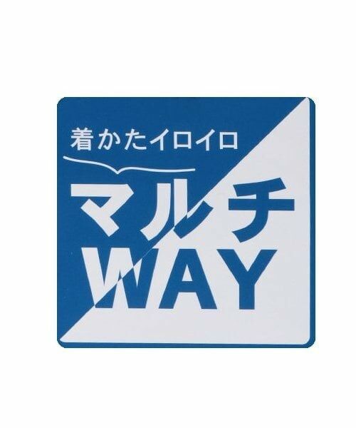 and D.petitmain / アンドディー. プティマイン ブルゾン | ライナーベスト付き マウンテンパーカー | 詳細16