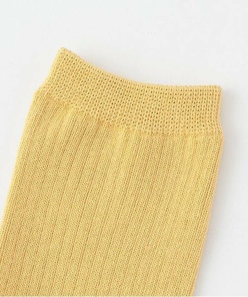 and D.petitmain / アンドディー. プティマイン ソックス | 【デイリー】カラーソックス | 詳細1