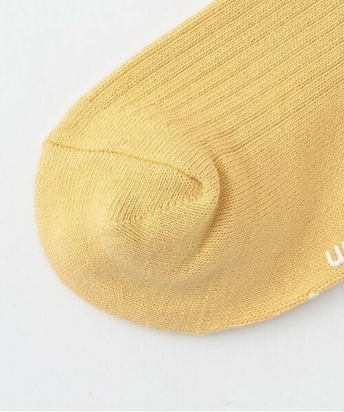 and D.petitmain / アンドディー. プティマイン ソックス | 【デイリー】カラーソックス | 詳細2