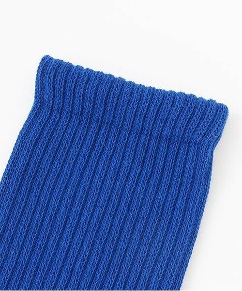 and D.petitmain / アンドディー. プティマイン ソックス | ネオンカラーソックス | 詳細1