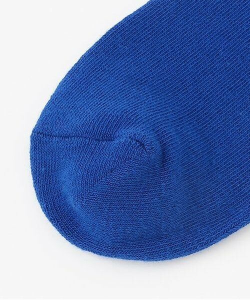 and D.petitmain / アンドディー. プティマイン ソックス | ネオンカラーソックス | 詳細3