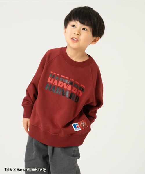 and D.petitmain / アンドディー. プティマイン スウェット | 【ラッセル】カレッジアソートスウェット（レンガ）