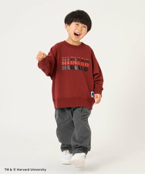 and D.petitmain / アンドディー. プティマイン スウェット | 【ラッセル】カレッジアソートスウェット | 詳細7