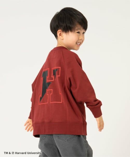 and D.petitmain / アンドディー. プティマイン スウェット | 【ラッセル】カレッジアソートスウェット | 詳細8