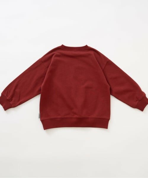 and D.petitmain / アンドディー. プティマイン スウェット | クラック加工スウェットプルオーバー | 詳細13