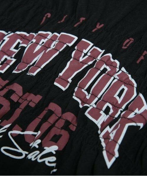 and D.petitmain / アンドディー. プティマイン Tシャツ | 【リンク】チームロゴジャーリングロンT | 詳細13
