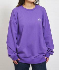 and D.petitmain / アンドディー. プティマイン スウェット | 【親子リンク】スウェットシティアイコン刺繍ワイドプルオーバ-