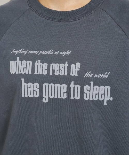 and D.petitmain / アンドディー. プティマイン スウェット | 【親子リンク】ラグランスウェットアソートロゴプルオーバー/トレーナー/親子リンク | 詳細2