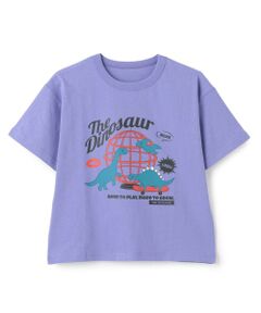 and D.petitmain / アンドディー. プティマイン Tシャツ | 【365D】OFUZAKE半袖T