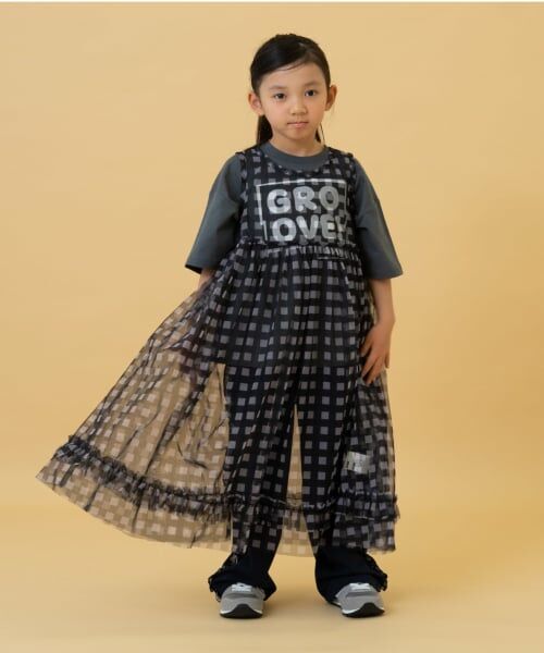 and D.petitmain / アンドディー. プティマイン ミニ丈・ひざ丈ワンピース | シフォンチェックワンピース（黒）