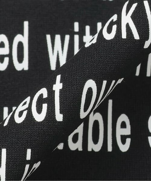 and D.petitmain / アンドディー. プティマイン Tシャツ | 【Columibia】Dadコールドベイダッシュ S/S T | 詳細8