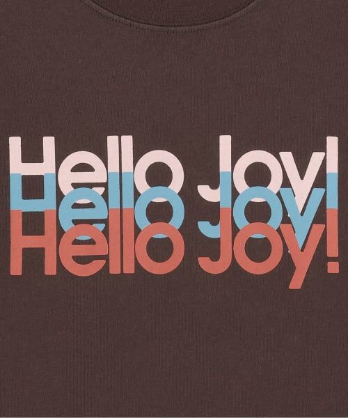 and D.petitmain / アンドディー. プティマイン Tシャツ | USED風加工ロゴ半袖T | 詳細2