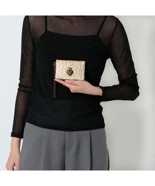 ANNA SUI / アナスイ カードケース・名刺入れ・定期入れ | アナスイ ANNA SUI ドリーミー 二面パスケース | 詳細29