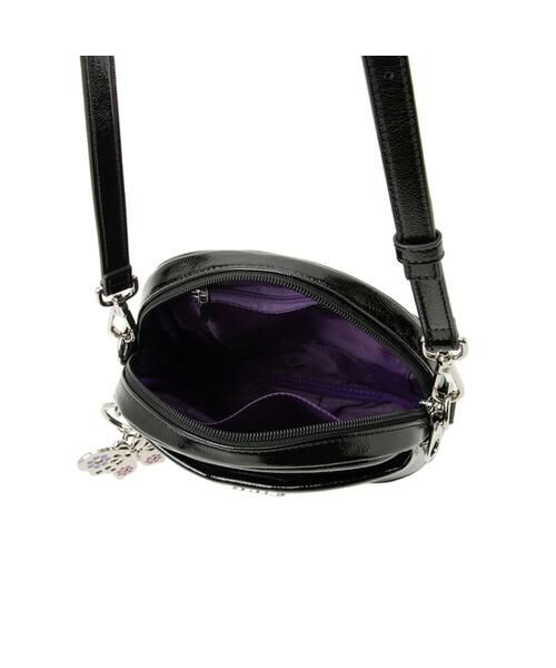 ANNA SUI / アナスイ ショルダーバッグ | アナスイ ANNA SUI ルーチェ ショルダーバッグ | 詳細5