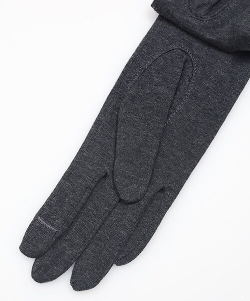 ANNA SUI(GOODS) / アナ スイ（グッズ） 手袋 | レディース UVカット手袋 | 詳細4