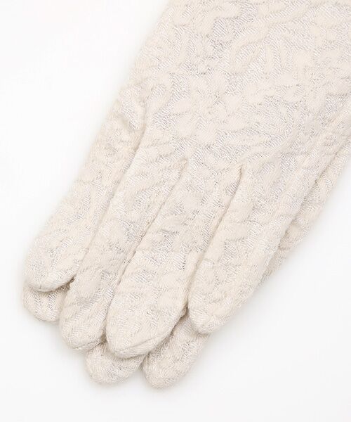 ANNA SUI(GOODS) / アナ スイ（グッズ） 手袋 | レディース UVカット手袋 | 詳細2