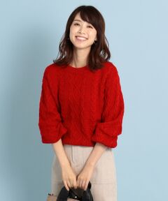 ANY / エニィ ニット・セーター | 【洗える】ソフトタッチケーブル プルオーバー