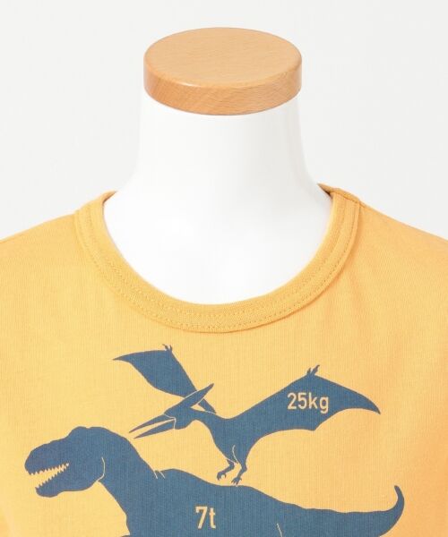 any FAM / エニィファム Tシャツ | 【BOYS/90-130cm】恐竜 半袖Tシャツ | 詳細4
