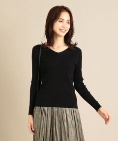 ANY / エニィ ニット・セーター | 【洗える】レーヨンナイロンリブニット プルオーバー