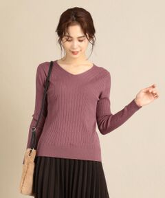 ANY / エニィ ニット・セーター | 【洗える】レーヨンナイロンリブニット プルオーバー