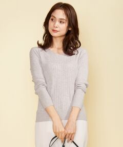 ANY / エニィ ニット・セーター | 【洗える】レーヨンナイロンリブニット プルオーバー
