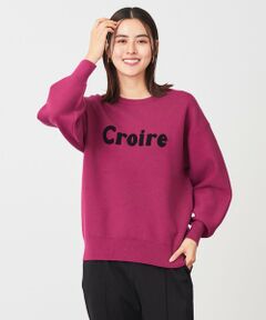 ANY / エニィ ニット・セーター | 【洗える】スウェットライクロゴニット