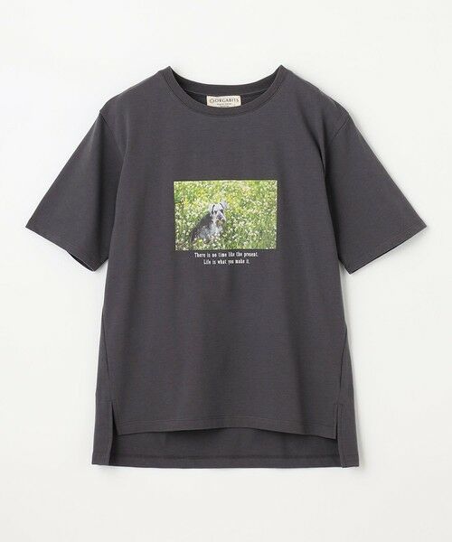 any FAM / エニィファム カットソー | 【接触冷感】アソートプリントＴシャツ | 詳細15