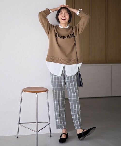 ANY / エニィ ニット・セーター | 【洗濯機可】スウェットライクロゴニット | 詳細16