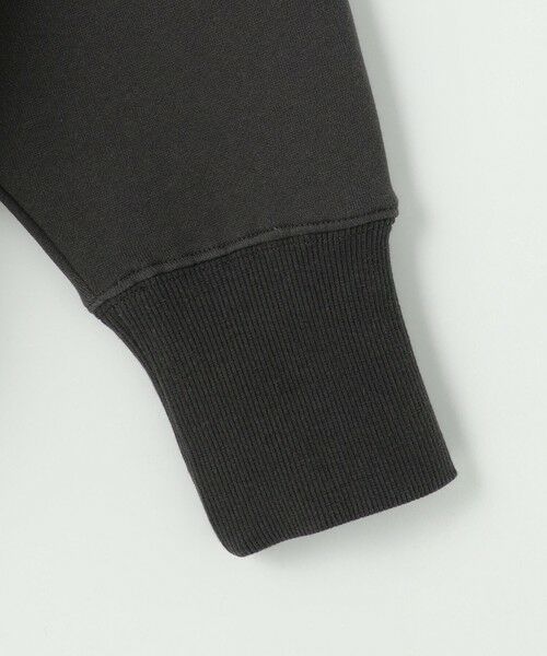 ANY / エニィ カットソー | 【洗濯機可】裏起毛スウェットロゴプルオーバー | 詳細15