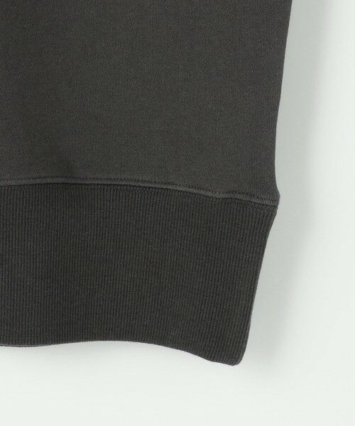 ANY / エニィ カットソー | 【洗濯機可】裏起毛スウェットロゴプルオーバー | 詳細16