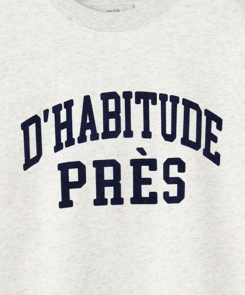 ANY / エニィ カットソー | 【洗濯機可】裏起毛スウェットロゴプルオーバー | 詳細25