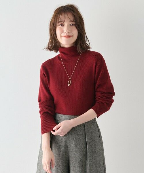 ANY / エニィ ニット・セーター | 【洗濯機可】ウォームニットリブタートルネック | 詳細9