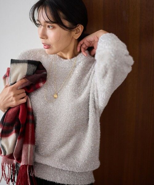 ANY / エニィ ニット・セーター | シャイニーニットプルオーバー | 詳細1