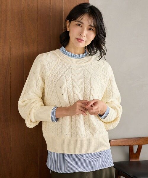 ANY / エニィ ニット・セーター | 【洗濯機可】ソフトタッチケーブル２ＷＡＹニット | 詳細1