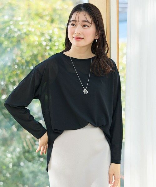 ANY/エニィ 【洗濯機可】シア-ラウンドネックTシャツ ブラック F ANY/エニィ 【洗濯機可】シア-ラウンドネックTシャツ ブラック F