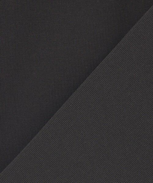 ANY / エニィ カットソー | 【洗濯機可/接触冷感/UVケア】オーガビッツロゴ・フォトTシャツ | 詳細12