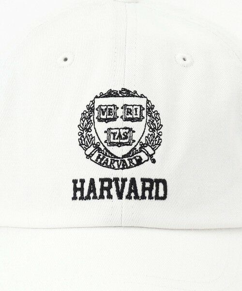 ANY / エニィ キャップ | カレッジコラボキャップ | 詳細1