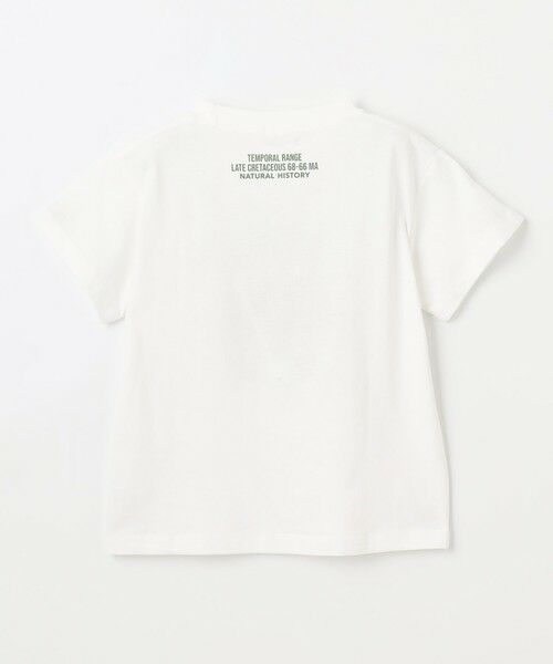 ANY / エニィ カットソー | 恐竜プリント 半袖 Tシャツ | 詳細6