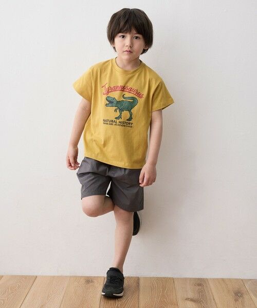 Tシャツ アーティスト「QP」プリント 恐竜 恐竜プリント 半袖 Tシャツ （カットソー）｜any FAM