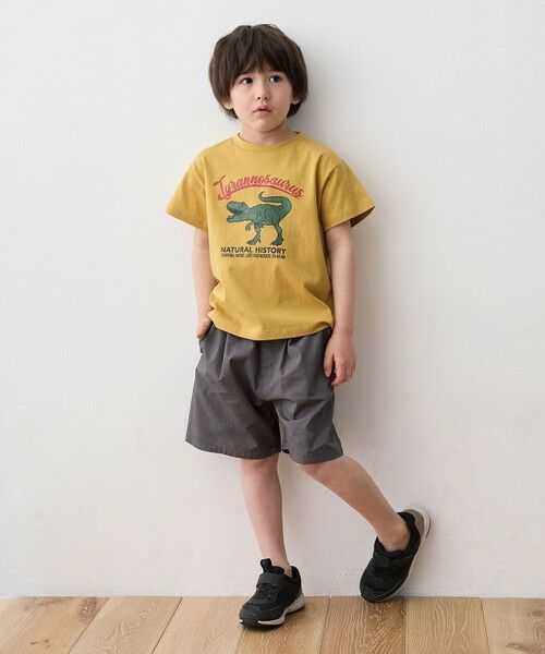 ANY / エニィ その他パンツ | ポプリン ハーフパンツ | 詳細1